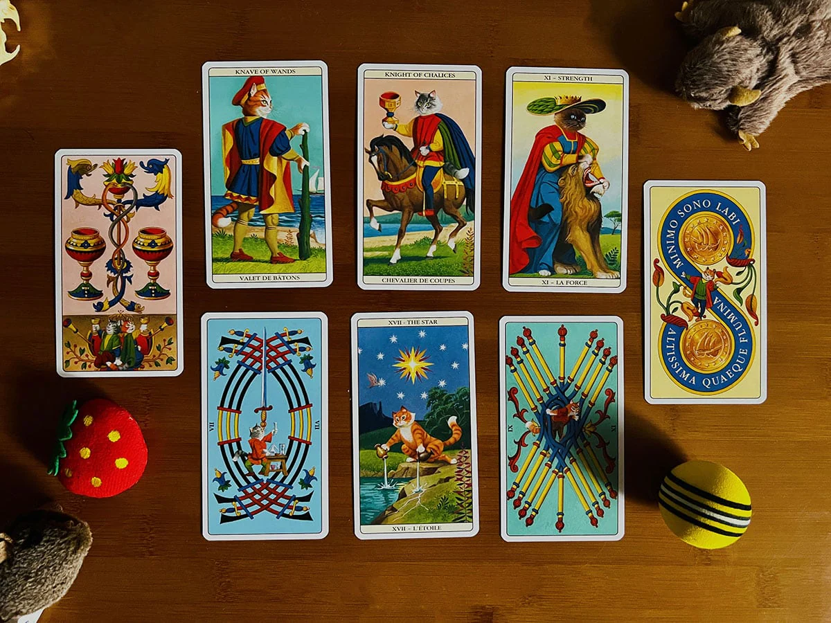 Marseille Cat Tarot - Image 5